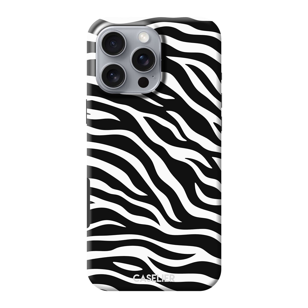 Burchell Zebra 2
