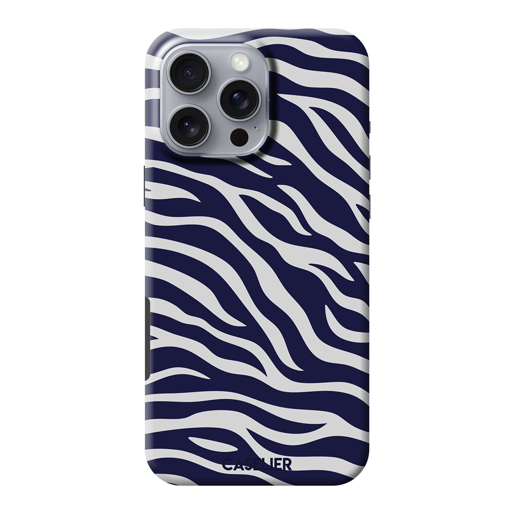 Grévy's Zebra 2
